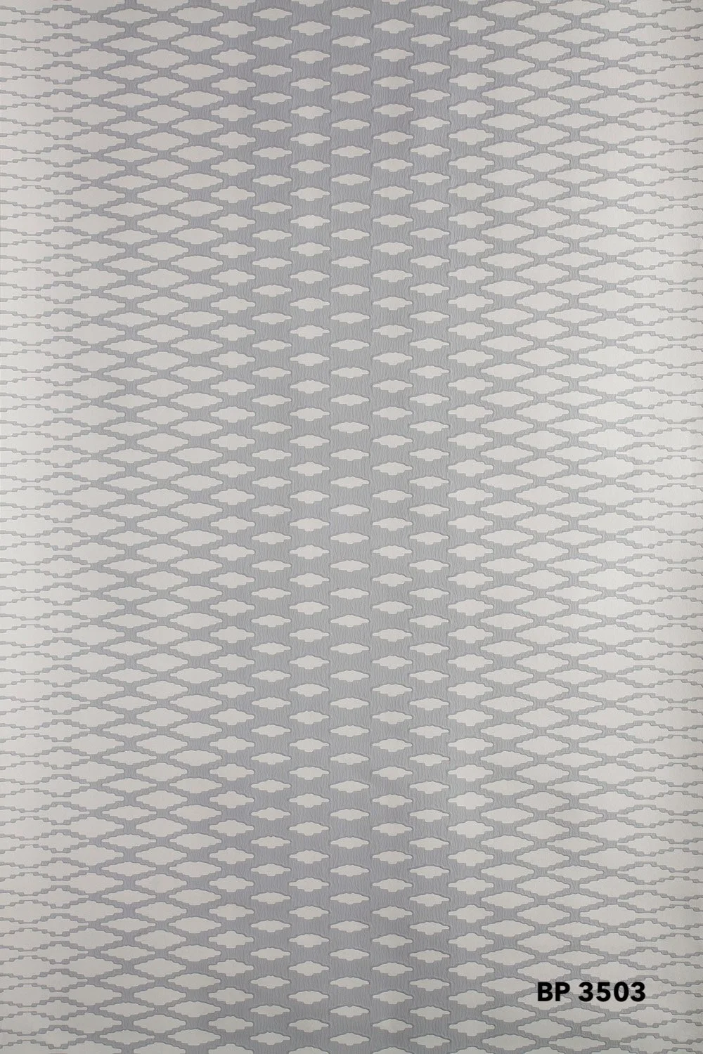 bp3503.jpg