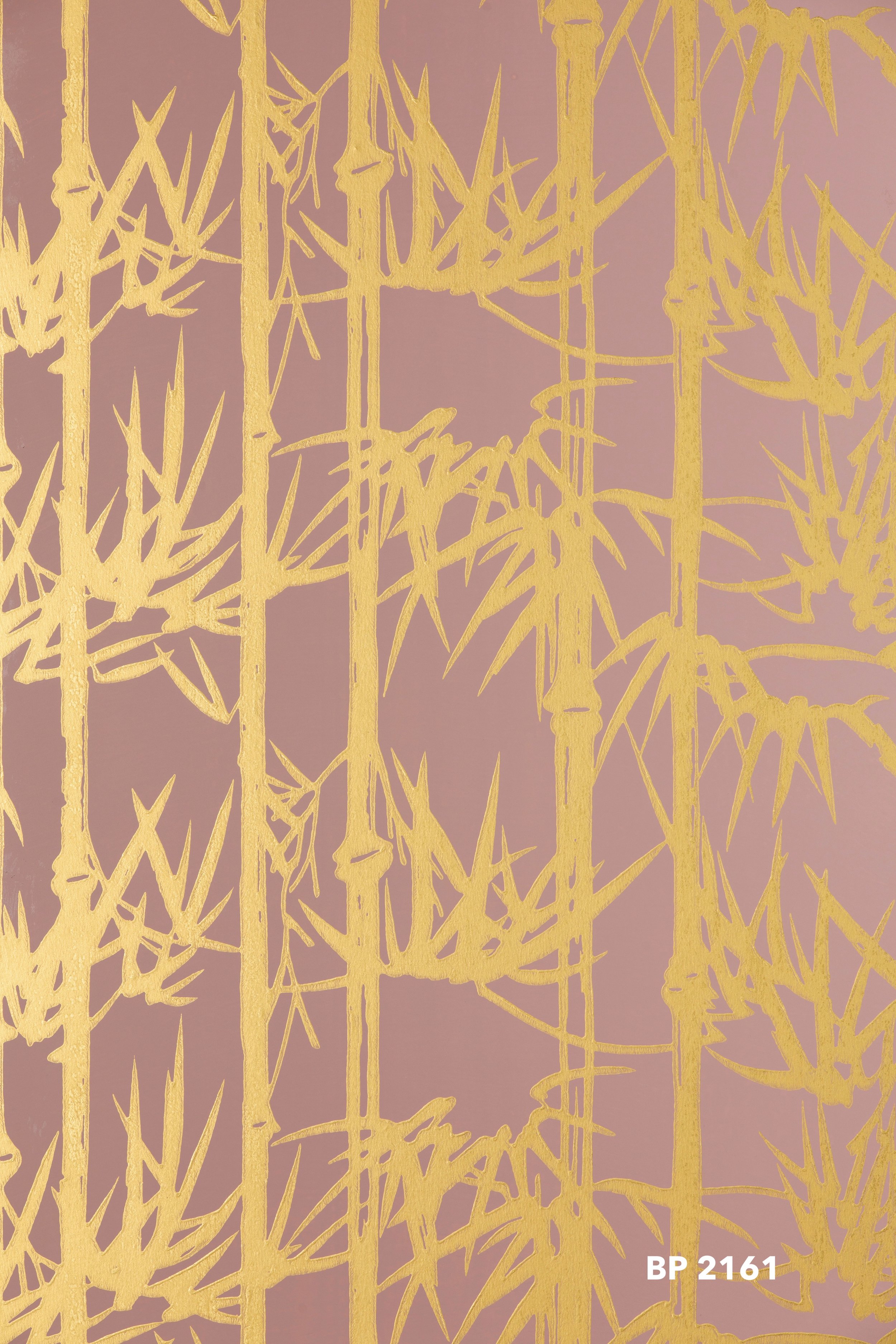Bamboo BP 2161 V2.jpeg