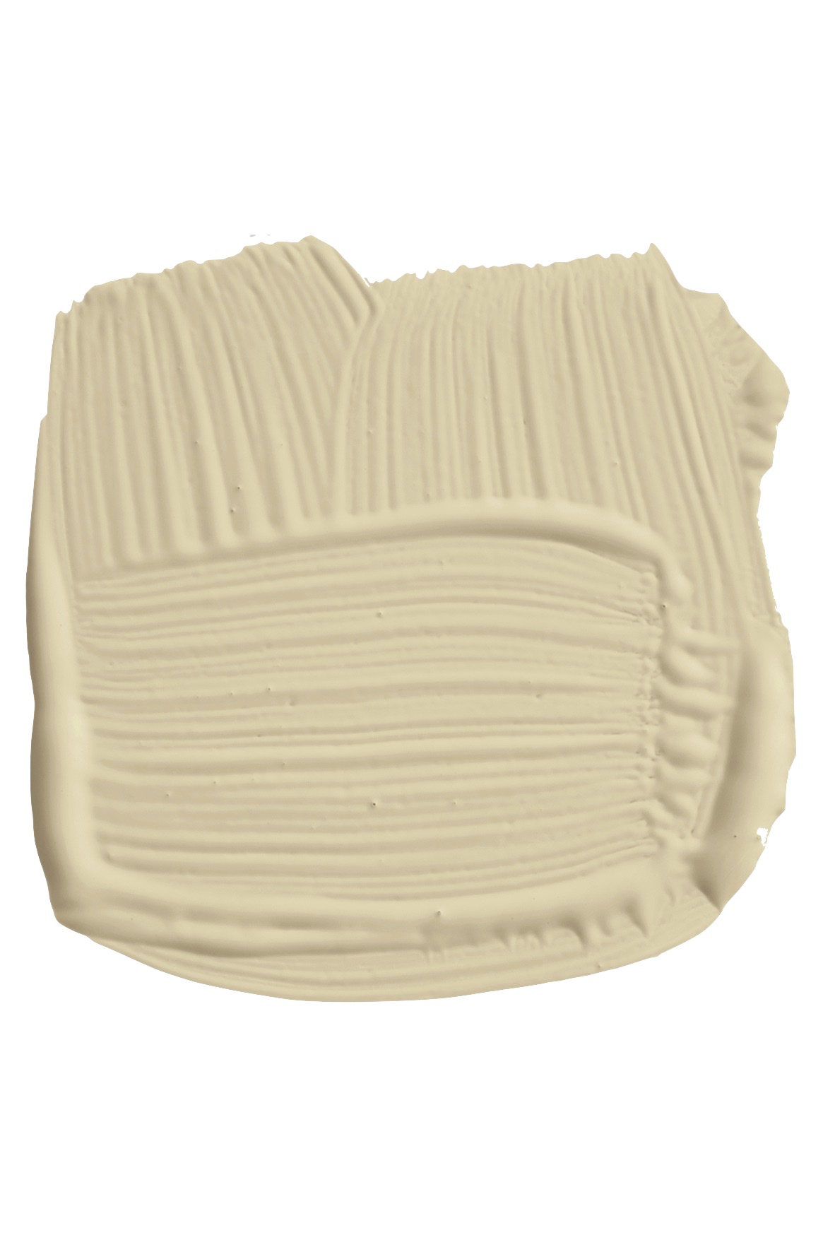 Bone Nr. 15 ®