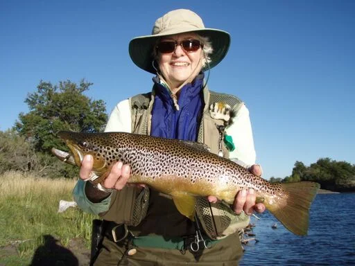 Ann H Nice Brown 2014 full dimensions_preview.jpeg