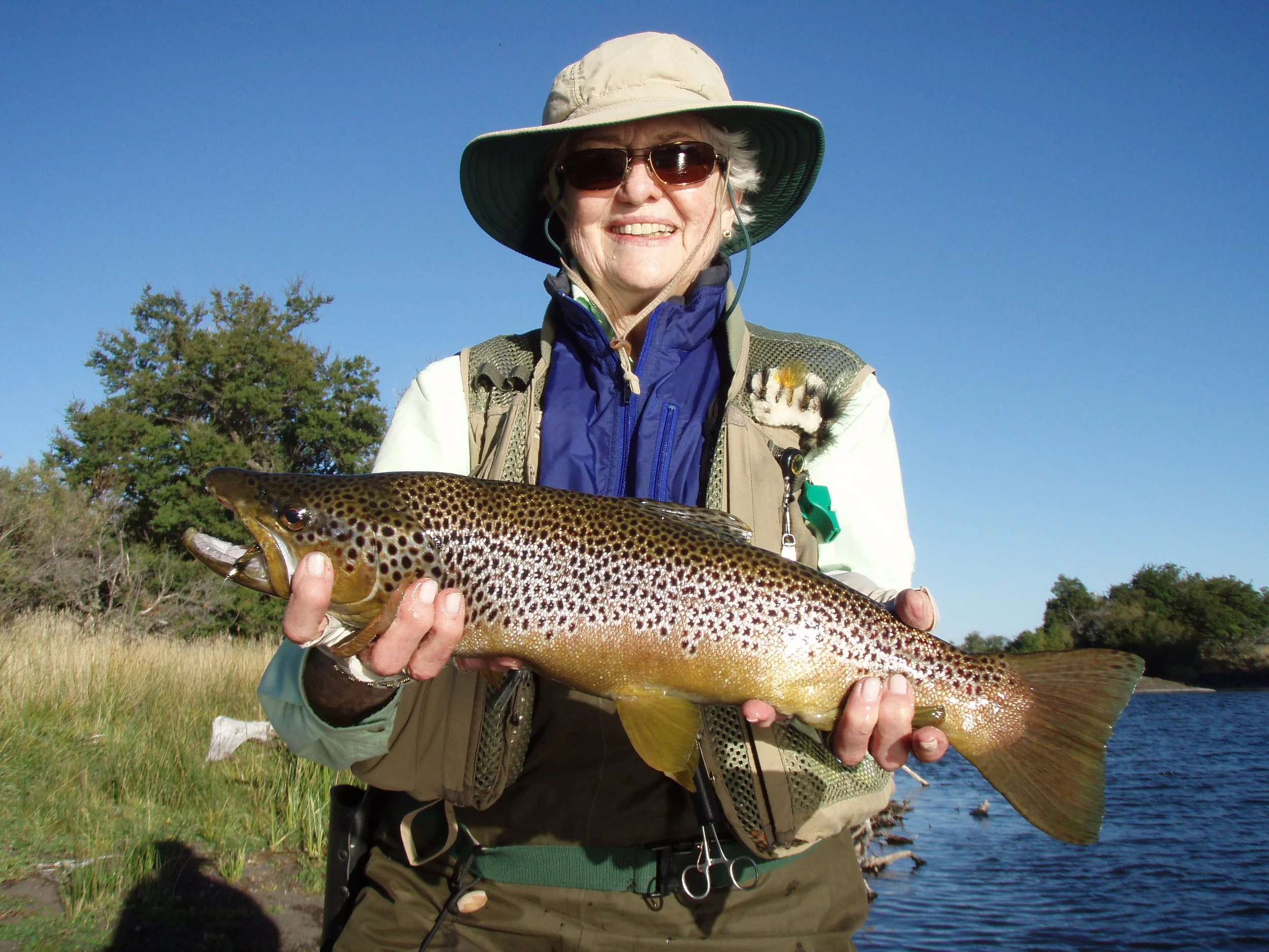 Ann H  Nice Brown 2014 full dimensions.JPG