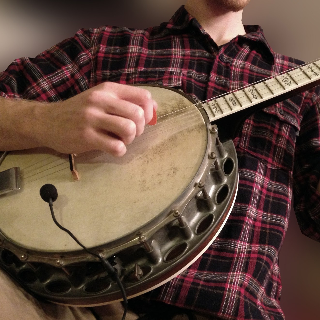 The Feather Octave Mandolin Pickup with Flexible Micro-Gooseneck by Myers  Pickups