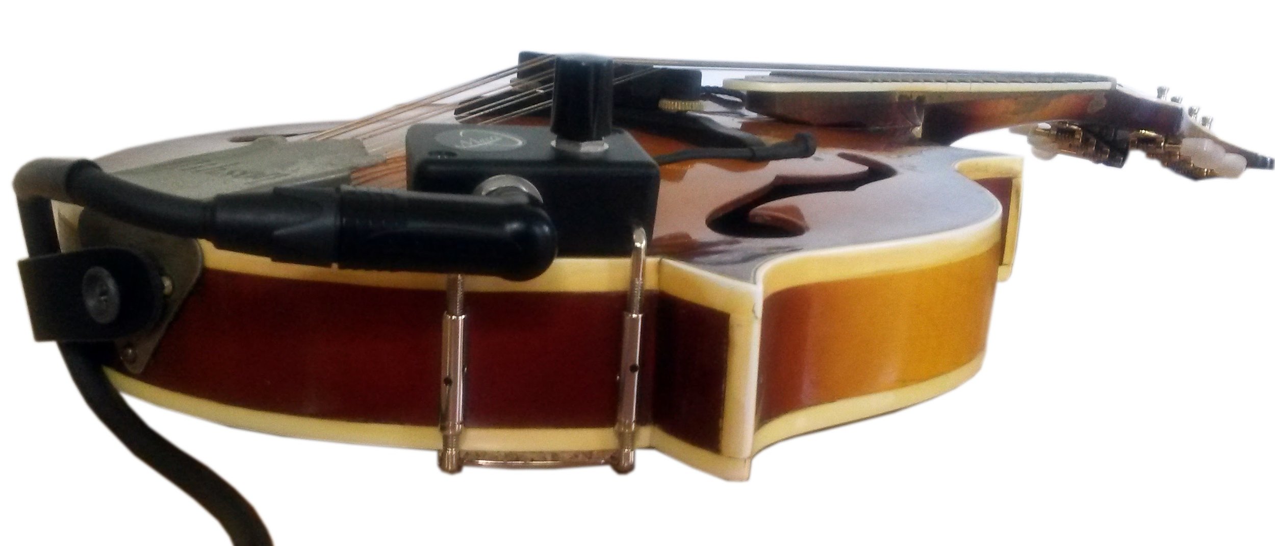 Myers Pickups —Media about Myers Instrument Pickups and Instrument