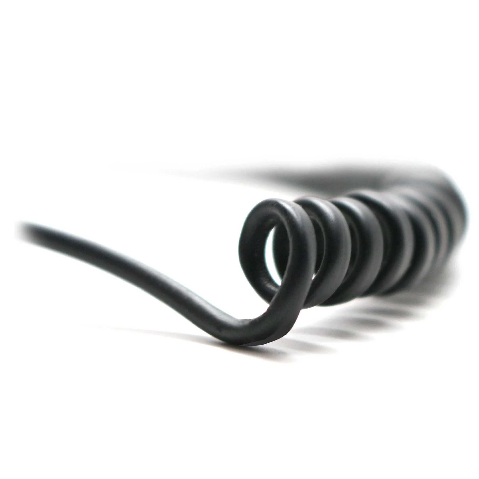 Feather Coil 3 Square Website.jpg