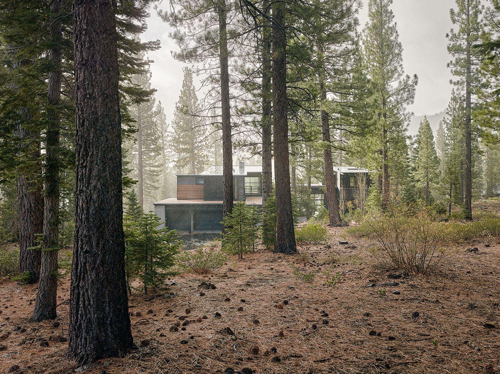 Photo: DWELL