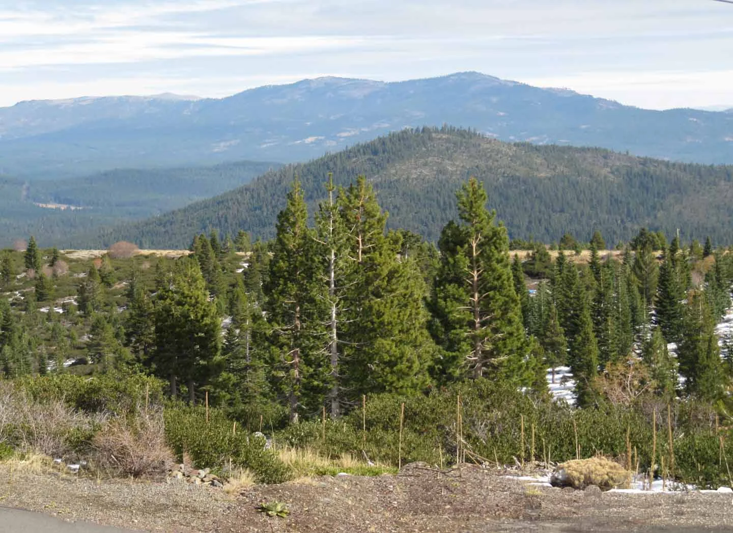 Vacant Lot with Stunning Views of the Sierras