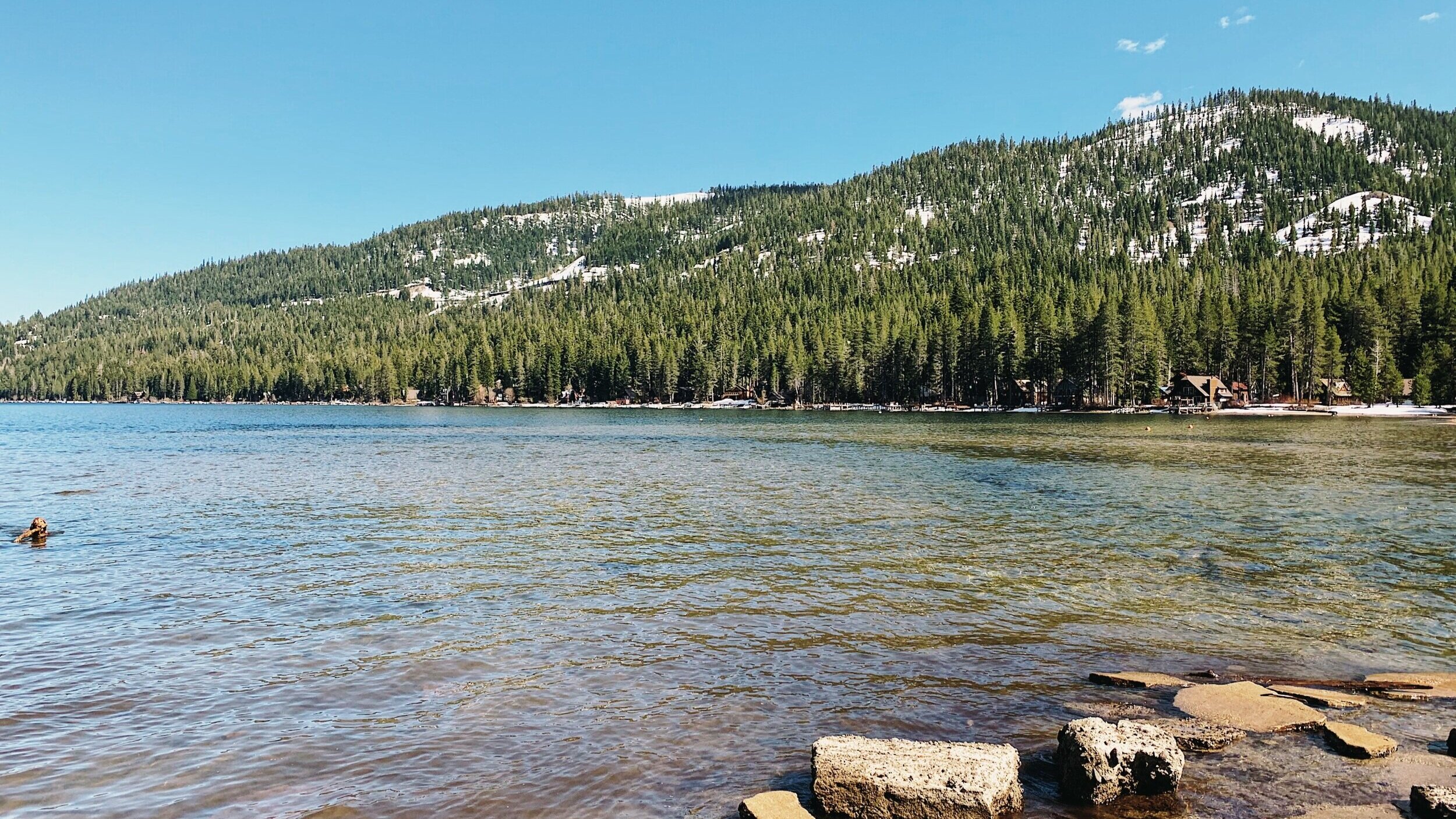 Anchors To Normal Swimming In Donner Lake Truckee And Lake Tahoe Real Estate