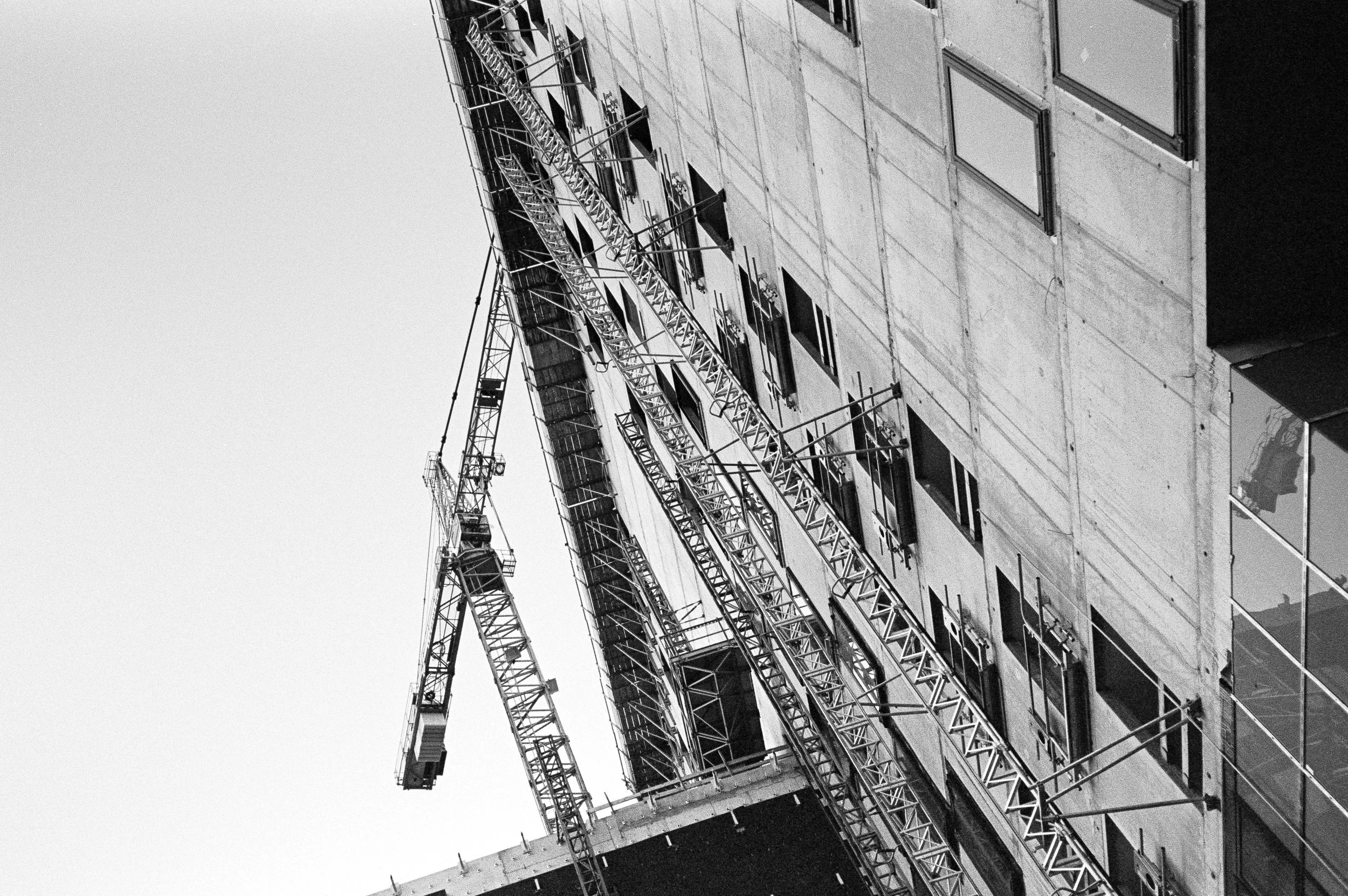 Film161115S_36.jpg