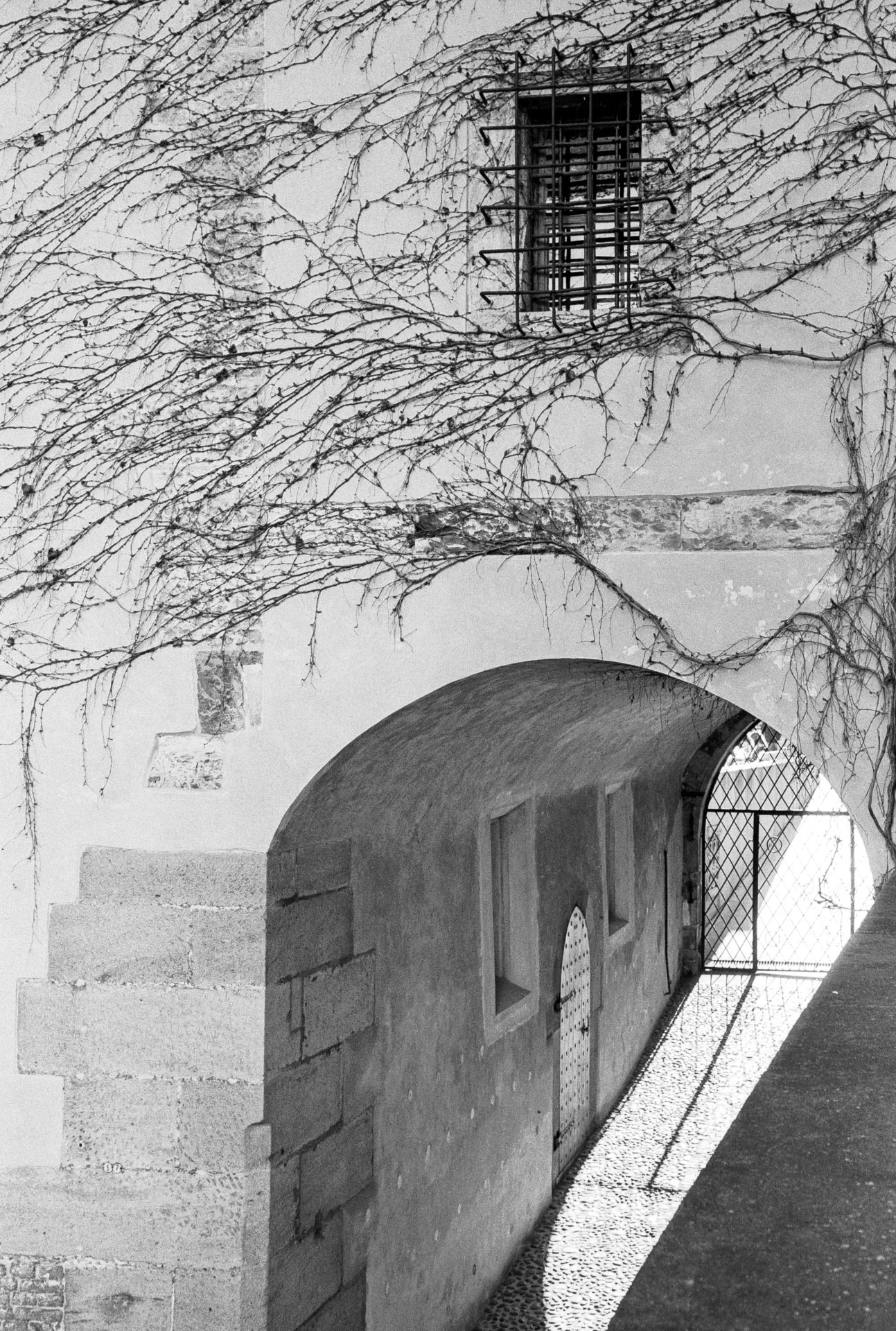 Website - Prague -36.jpg