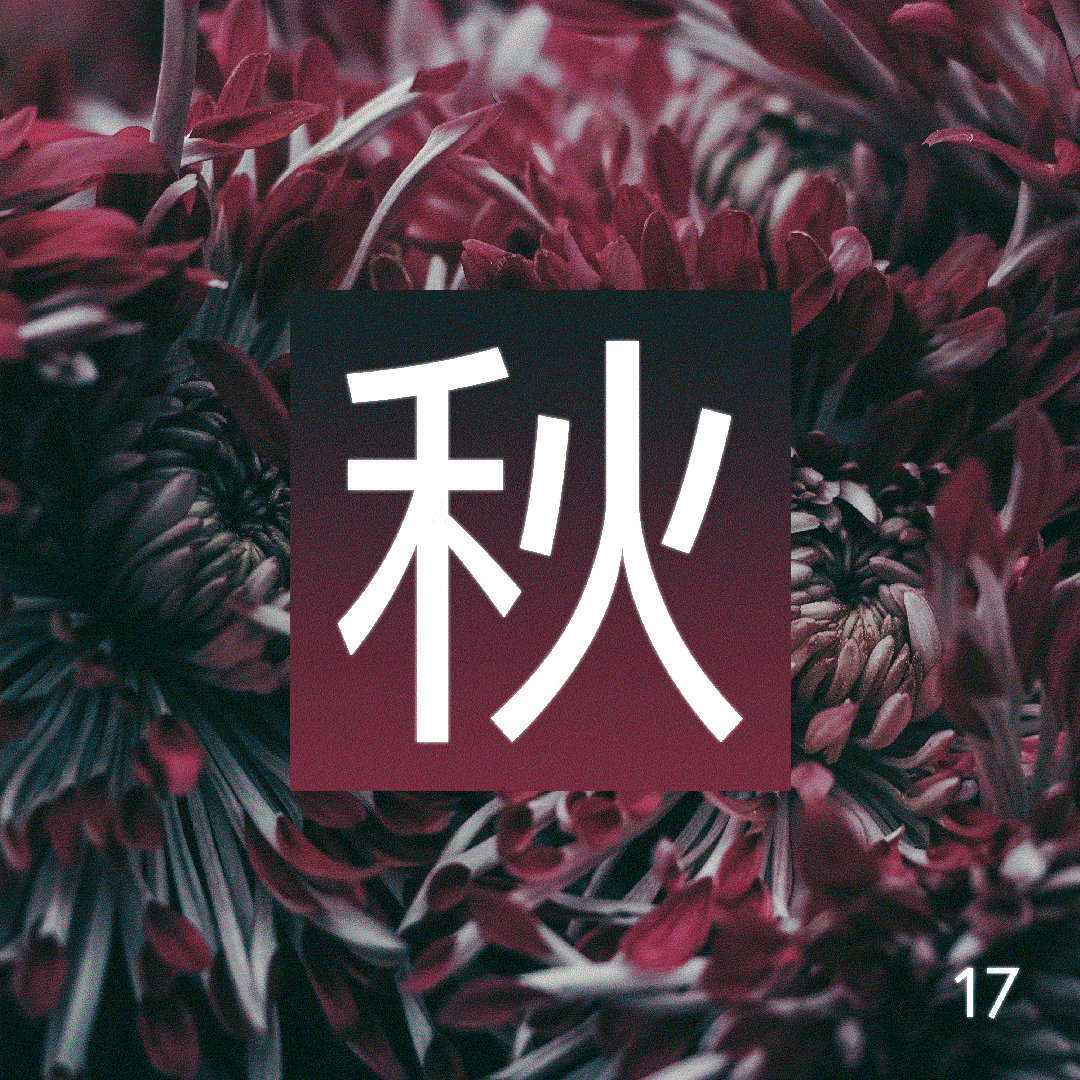 秋 - Aki 17