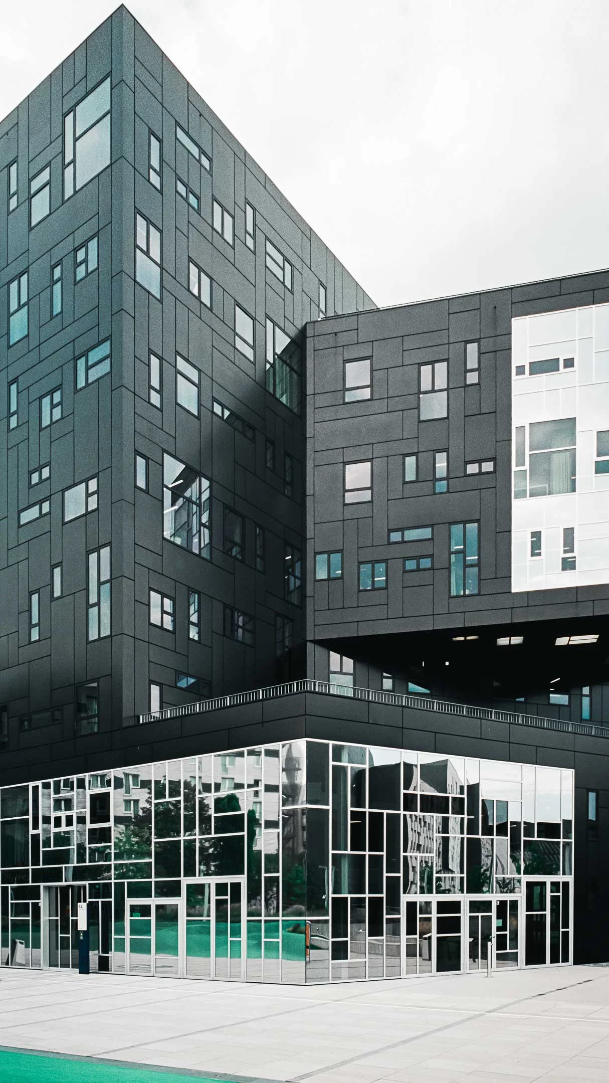 Website - WU Campus 2018-01.jpg