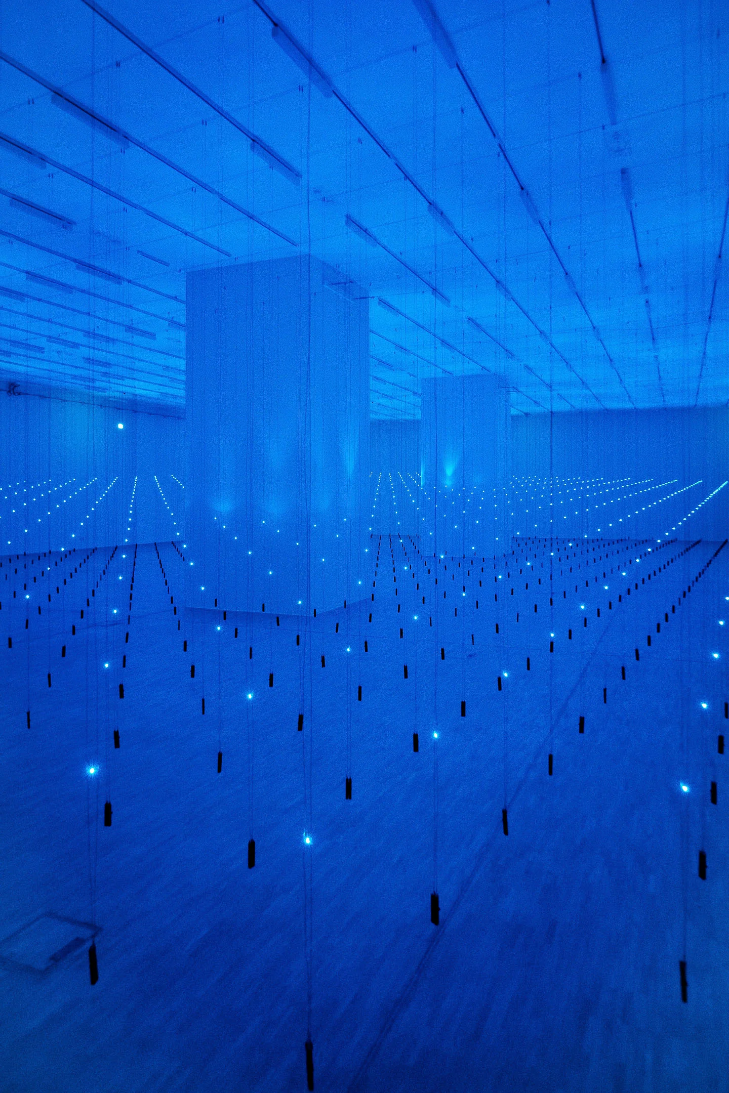 website-landesgalerie-10.jpg