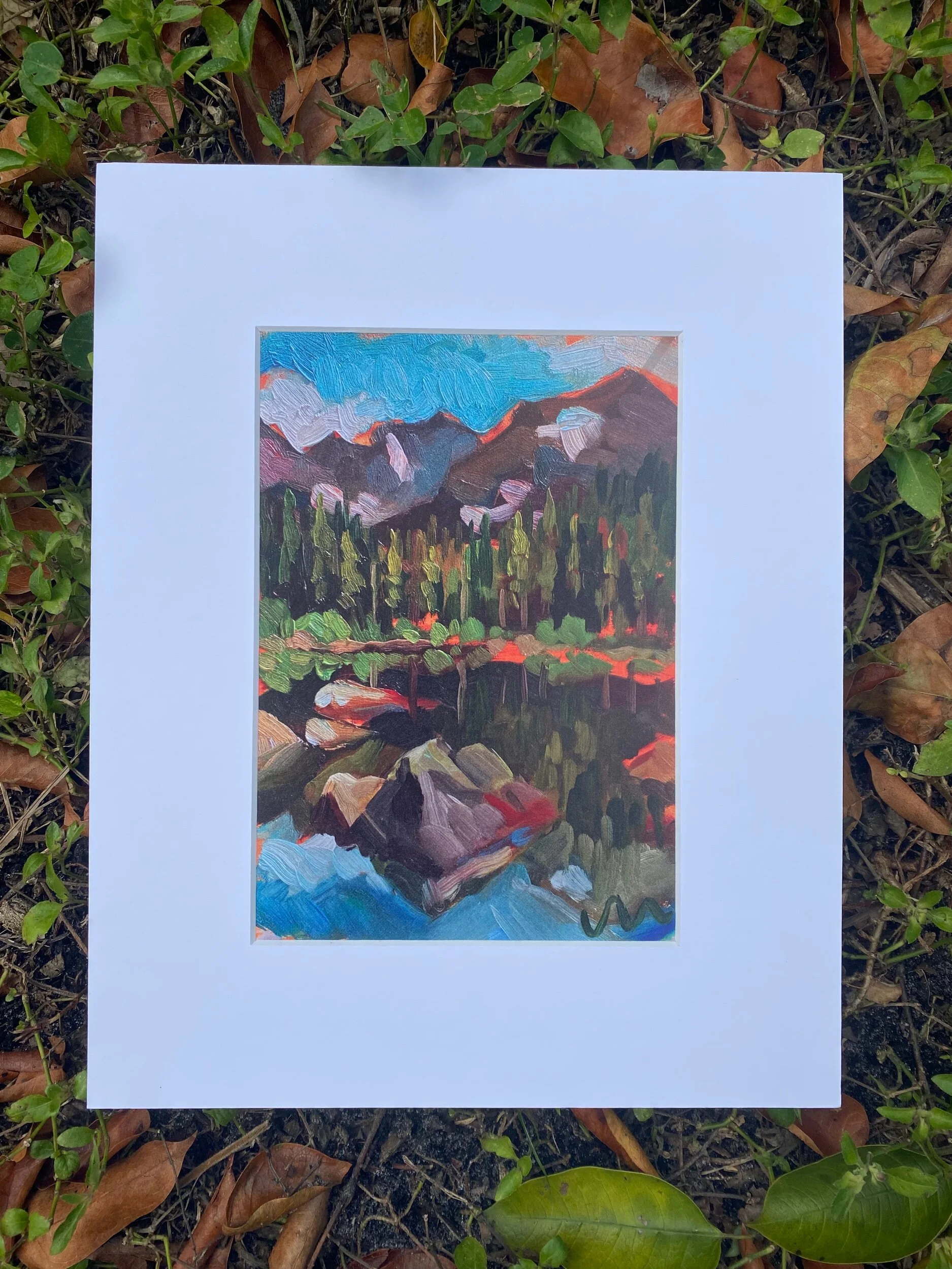 2335B02A-CD70-41E2-936F-0A24491C0439