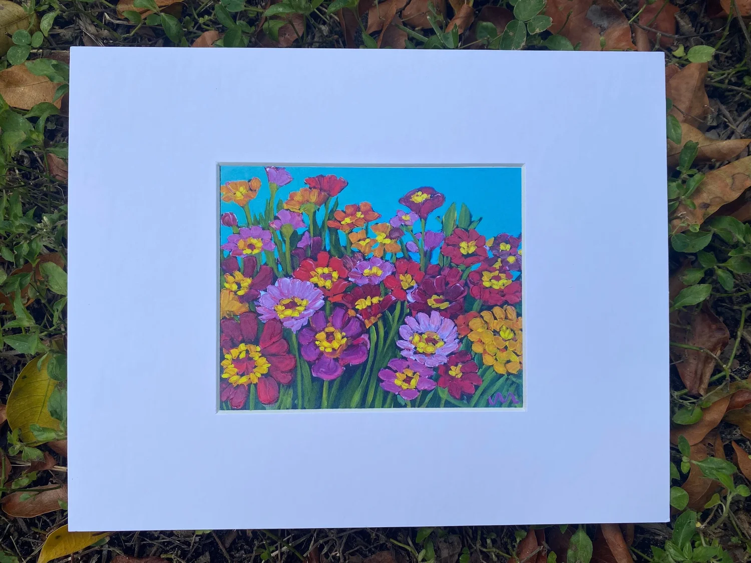 Blue sky zinnias — Jayne Morgan Art
