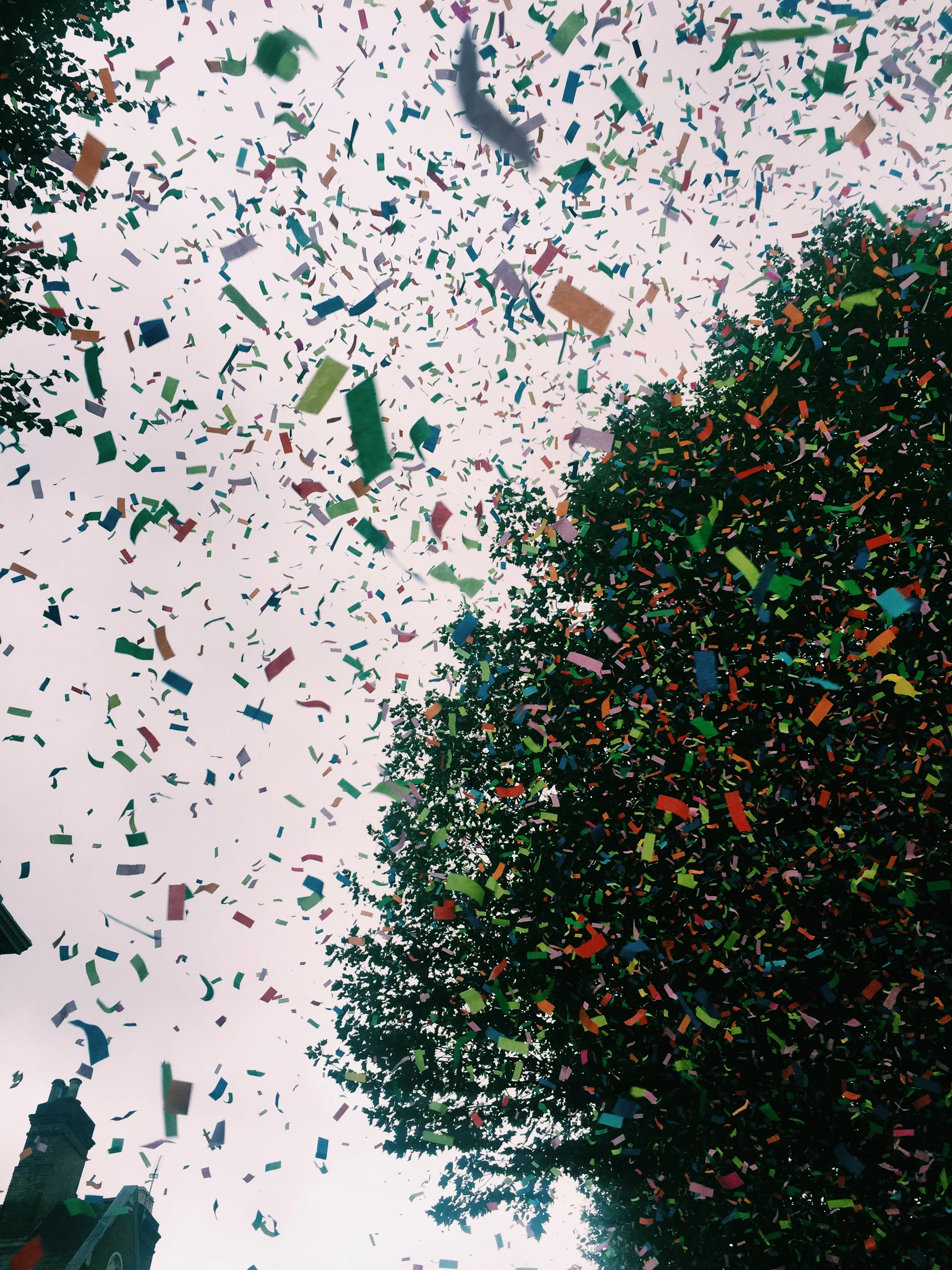 Confetti.JPG
