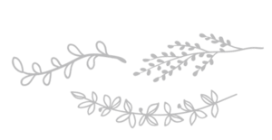 branches-small.png