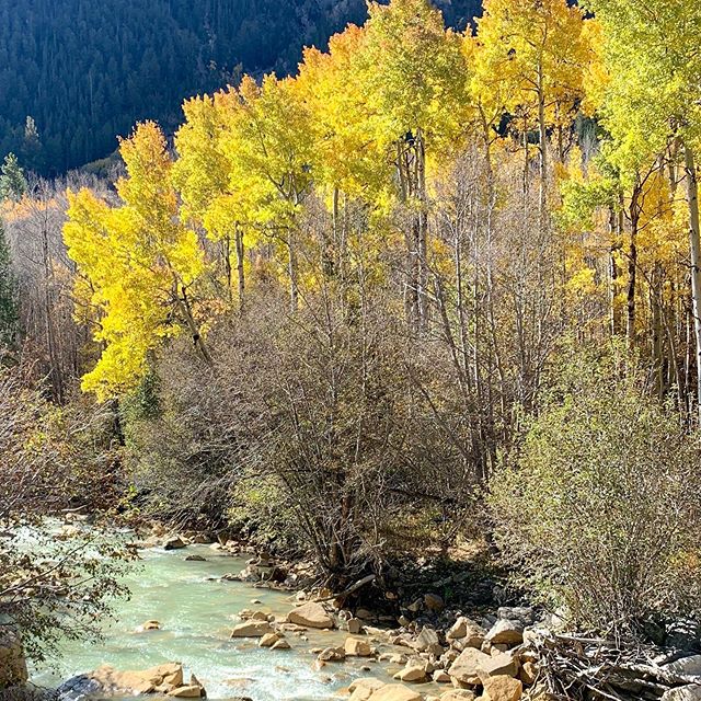 Last shots from drive over Independence Pass yesterday-can never get my fill of this stunning scenery