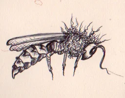 "Hornet", Ink on Paper
