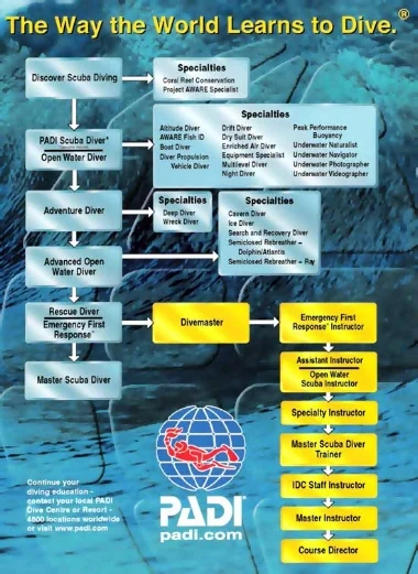 padiflowchart.jpg
