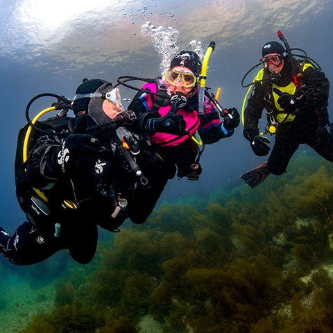 DrySuit.jpg