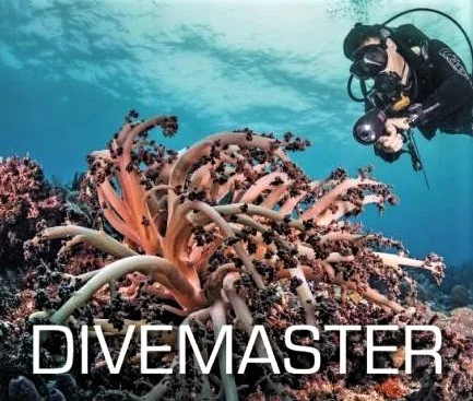 The Divemaster: Leap to Pro...