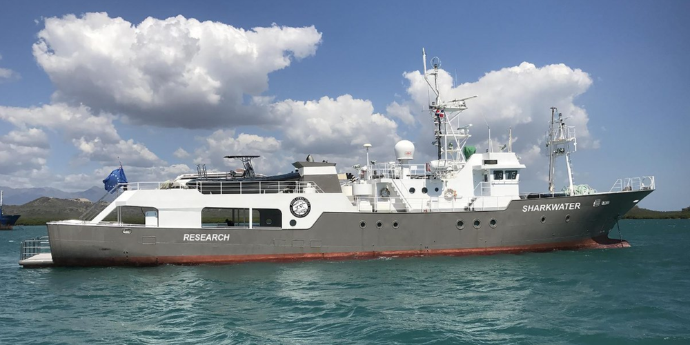 Sharkwater-Yacht.png