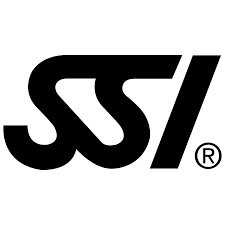 ssi.png