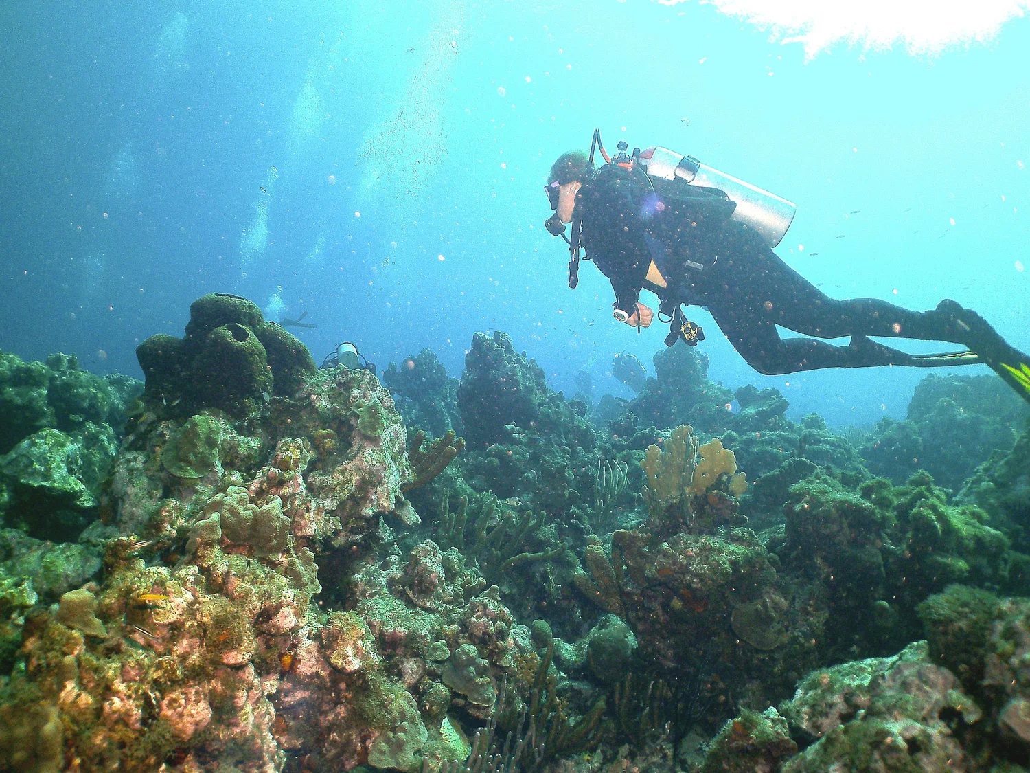 Beginning Open Water Certification Course — Coral Key Scuba and Travel ...