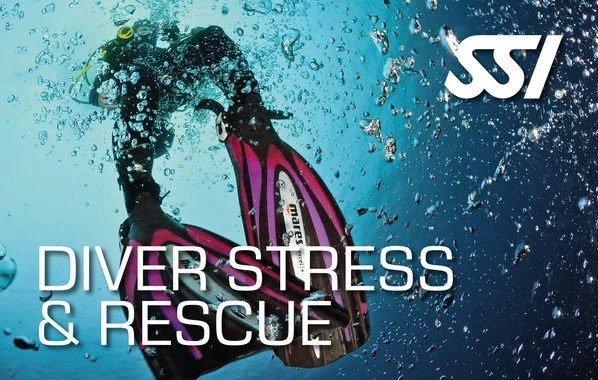 Stress and Rescue (Part 4/4)