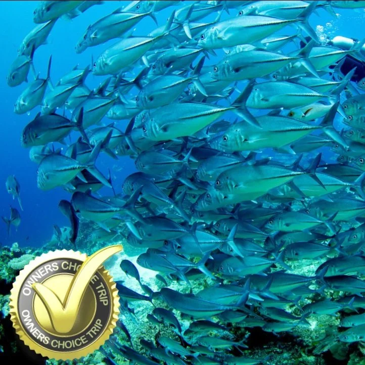 Raja Ampat Group Trip