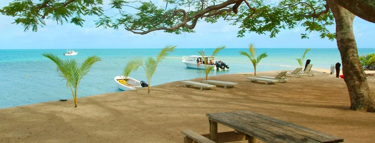volivoli_beach_l.jpg