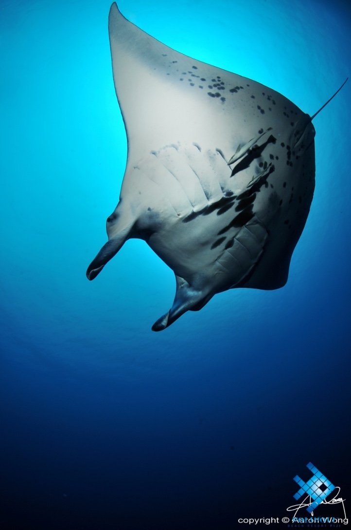 thumb_DSC_7062_1024.jpg