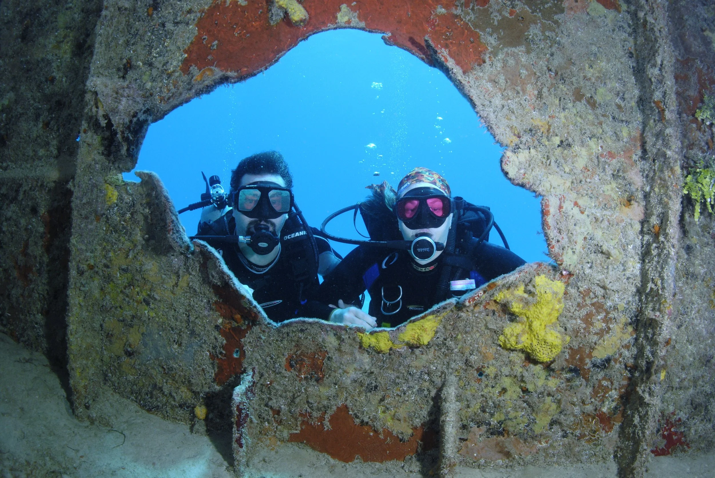 Learn to Dive</strong>