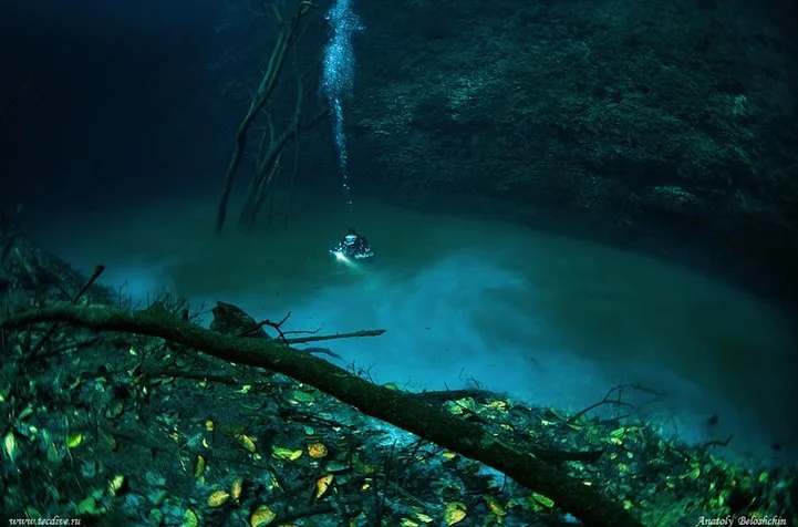 Angelita Cenote 3.jpeg