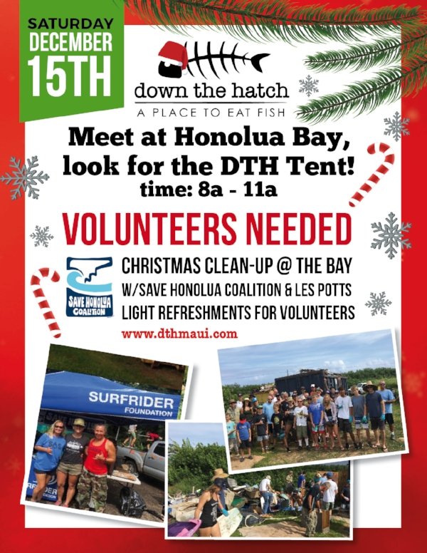 11-28 CHRISTMAS CLEAN UP FLYER 2 8,5X11.jpg