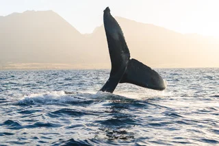 2nd Friday w/ Lauren Baer