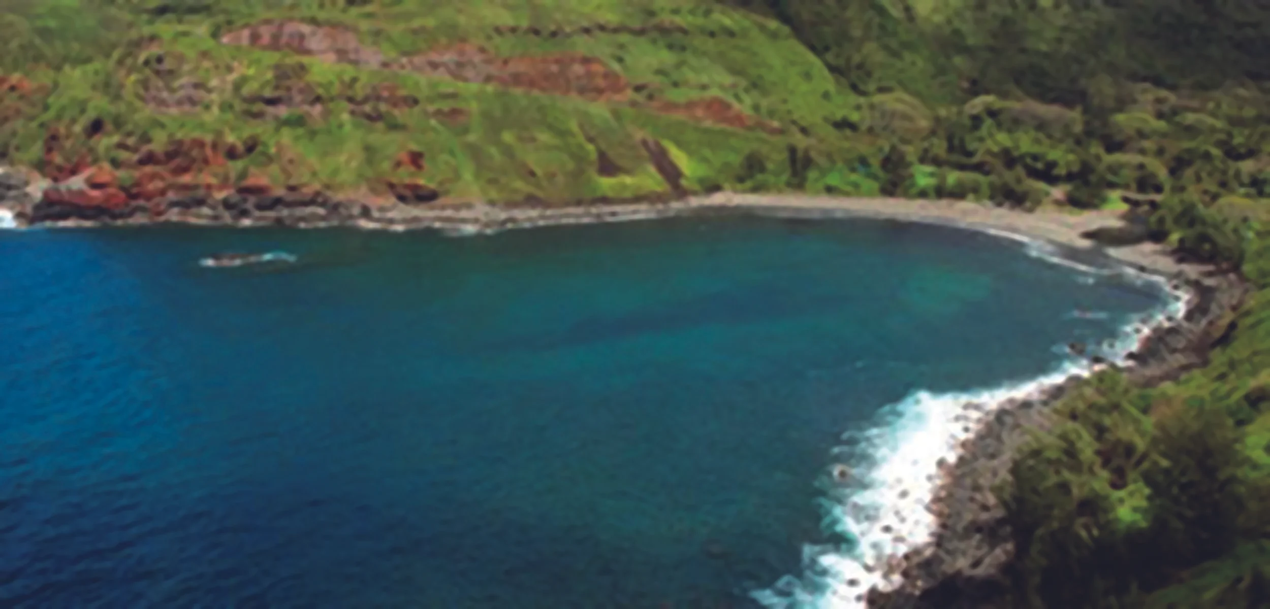 We love Honolua Bay! Let’s work together as a community to keep it clean!