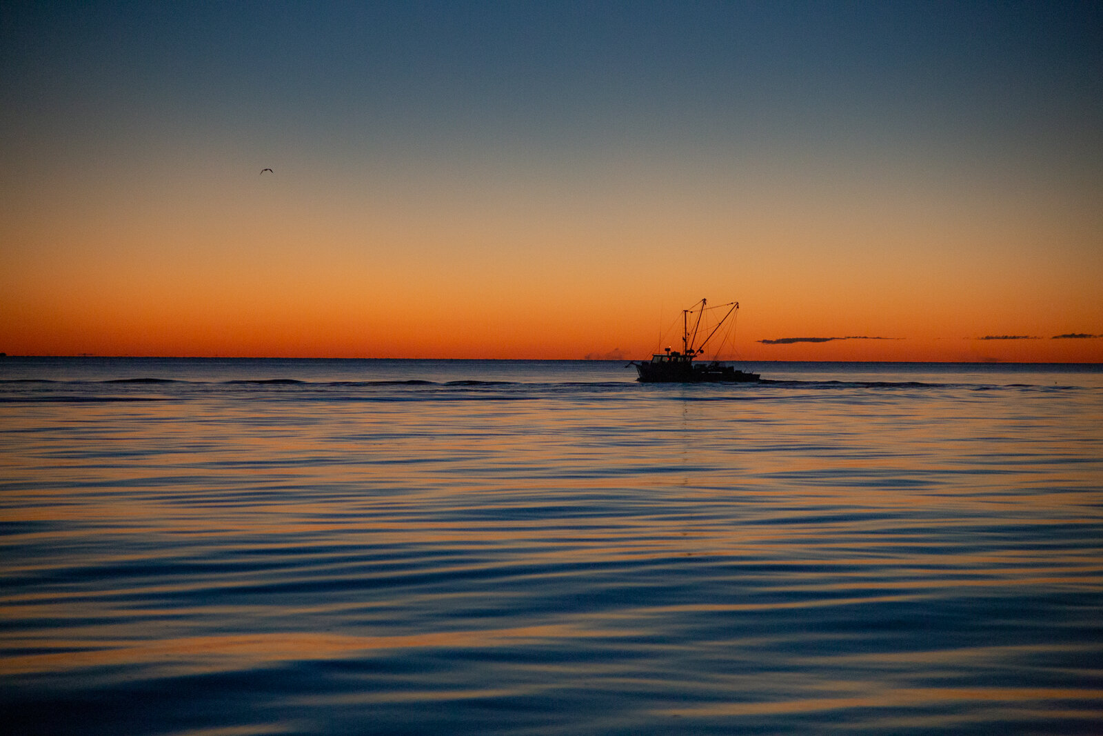  An fishing boat heading out for a day of oystering in Solomon Island, MD on Wednesday, Nov. 7, 2018. Many local fishermen head out before the sun rises to get a successful catch size; it is neccessary for their buisness to remain viaable. 
