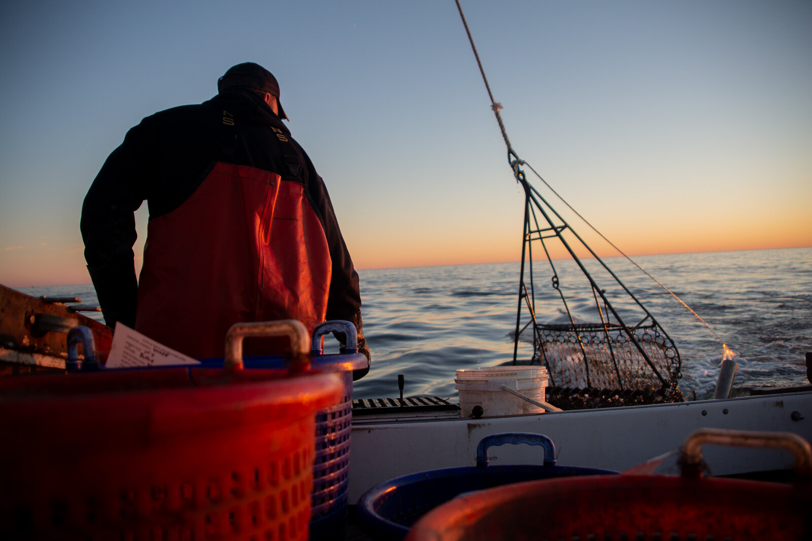  Captain Dale "Simon" Dean of Patuxent River Seafood pulling a catch of oysters onto his boat  during a day of oystering, Wednesday, Nov. 7, 2018 in Solomon Island, MD. As a part of the Dock to Dish nonprofit program, this local waterman supplies oys