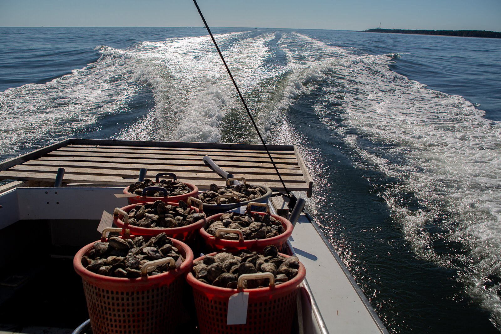  The daily catch of oysters aboard the Snatch Block; Captain Dale "Simon" Dean of Patuxent River Seafood's boat as the vessel heads back to shore, Wednesday, Nov. 7, 2018 in Solomon Island, MD. As a part of the Dock to Dish nonprofit program, this lo