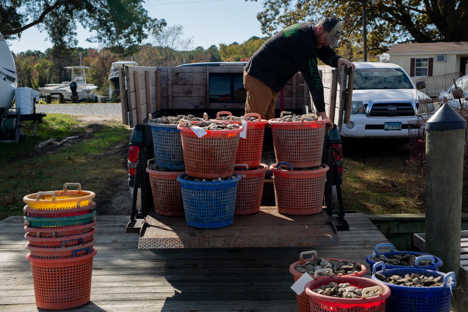  Captain Dale "Simon" Dean of Patuxent River Seafood loading his catch of oysters into his truck for transport, Wednesday, Nov. 7, 2018 in Solomon Island, MD. As a part of the Dock to Dish nonprofit program, this local waterman supplies oysters to ne