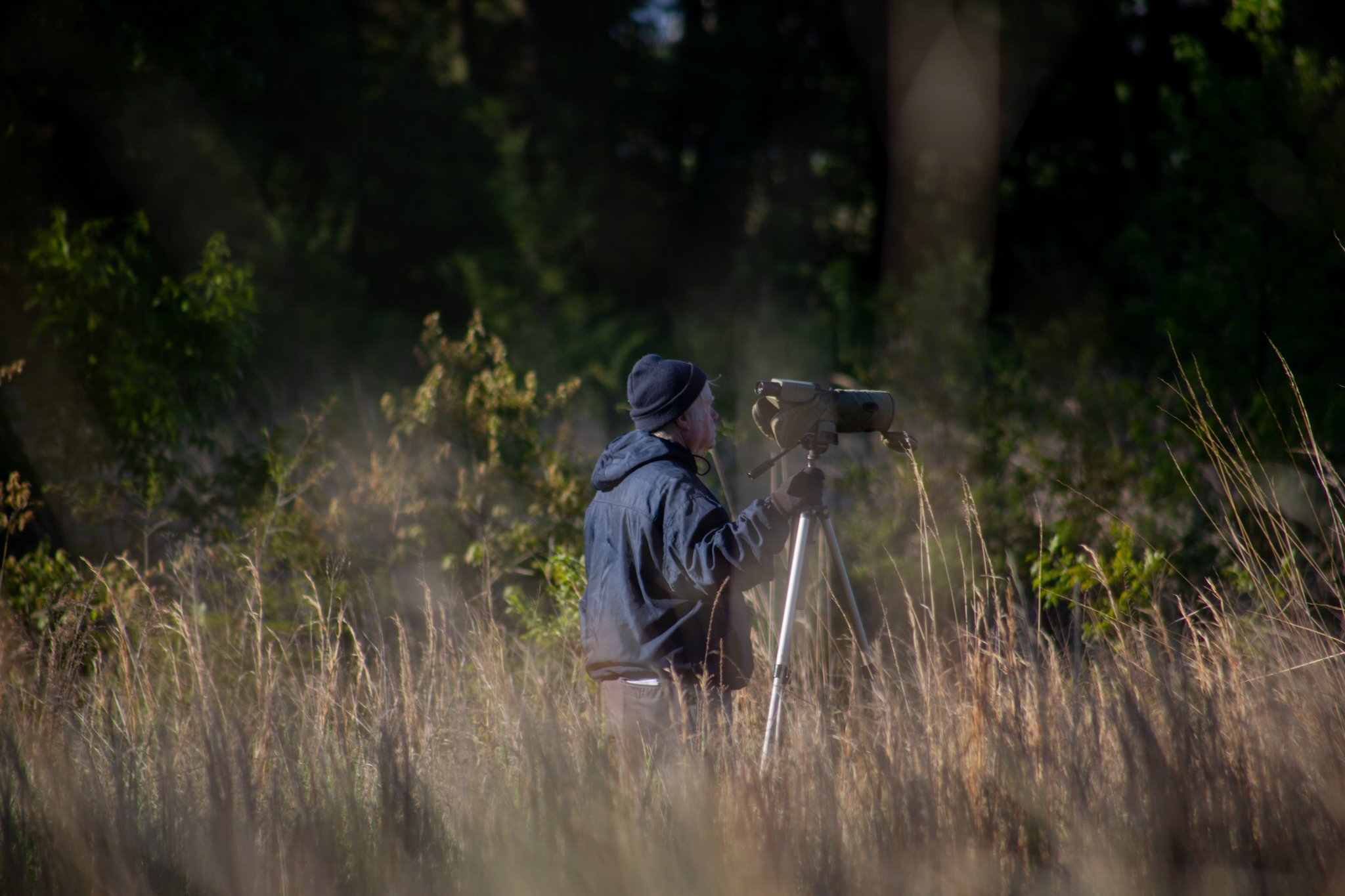  Gary Myers walks along a path at Occoquan Bay National Wildlife Refuge, scanningthe sky and tree line for birds. 