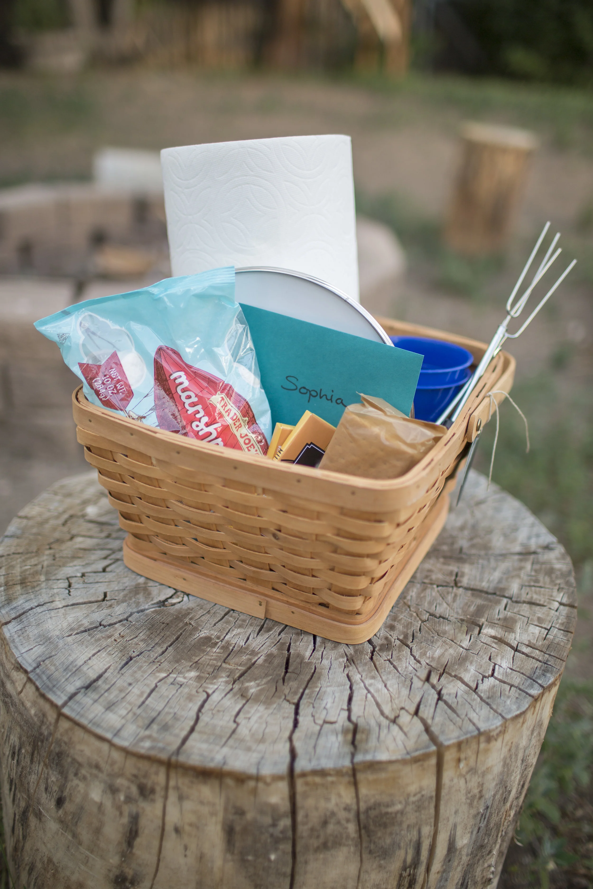 Welcome Smores Basket