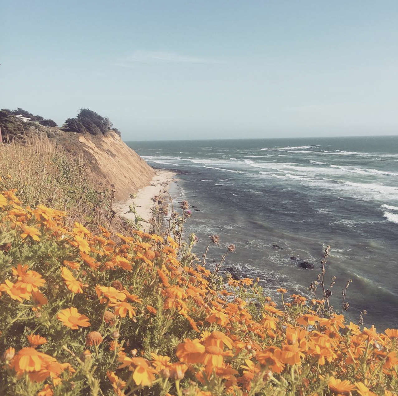 Screen Shot 2024-05-06 at 7.17.33 PM.png