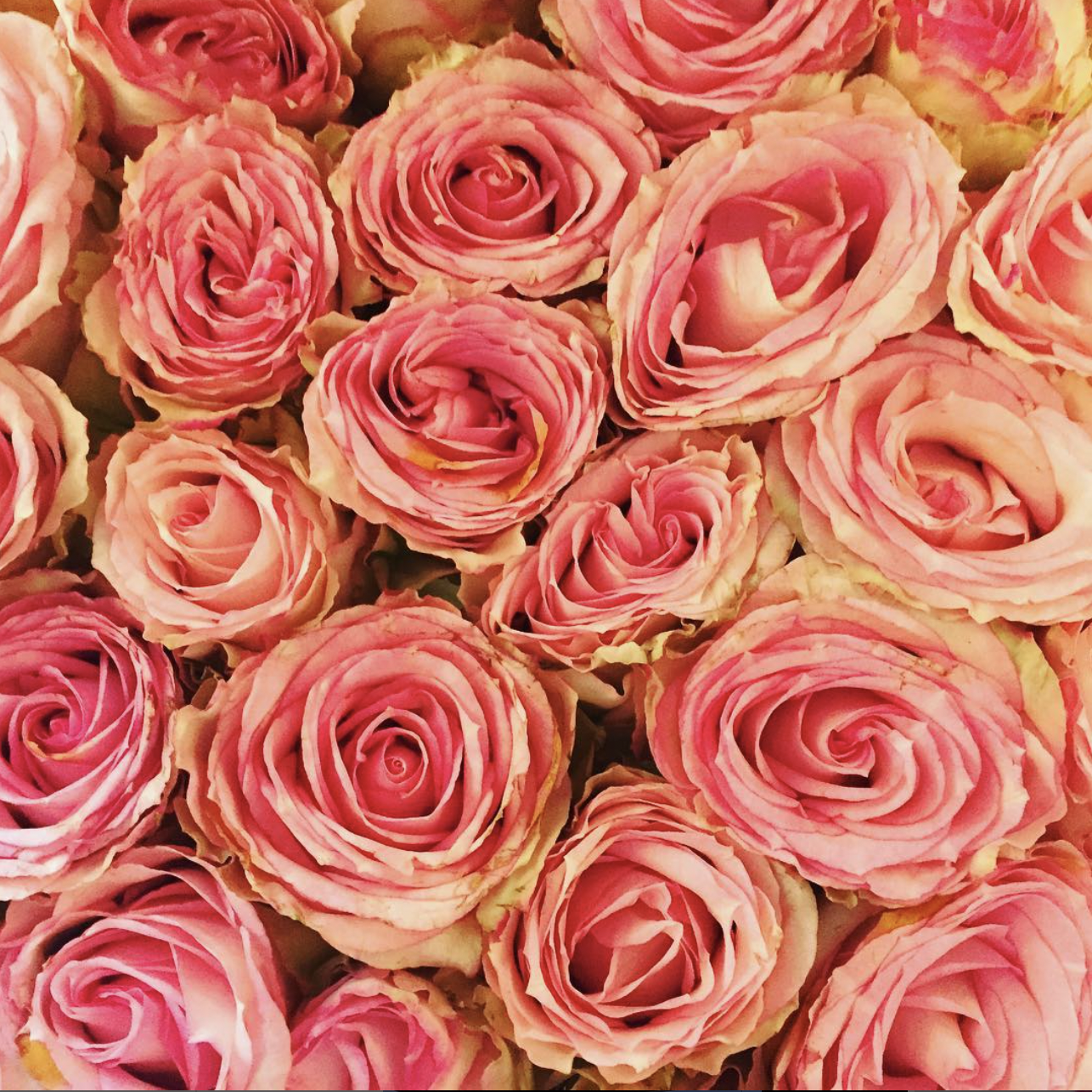 Screen Shot 2024-05-06 at 7.19.15 PM.png