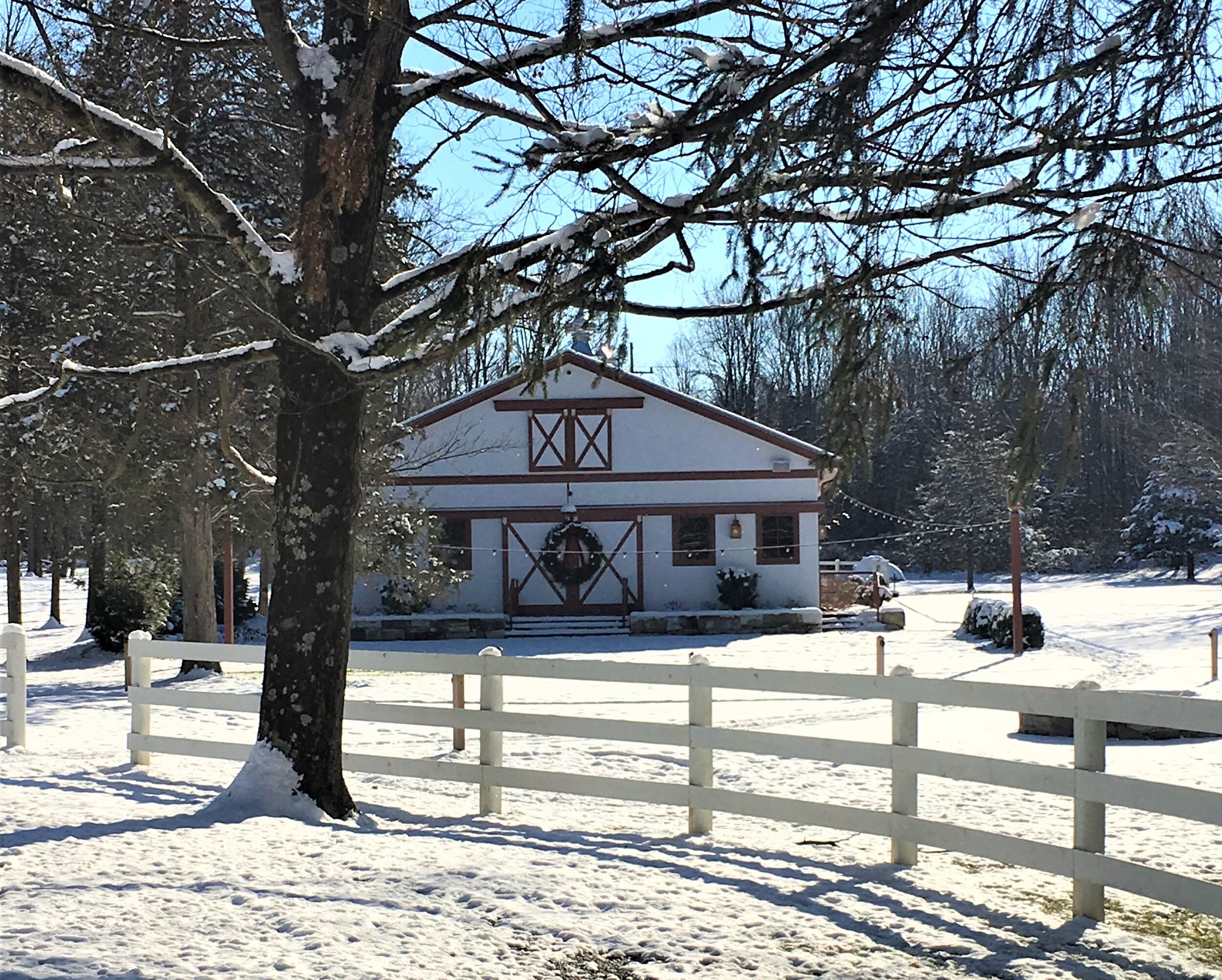 winter wedding venue.jpg