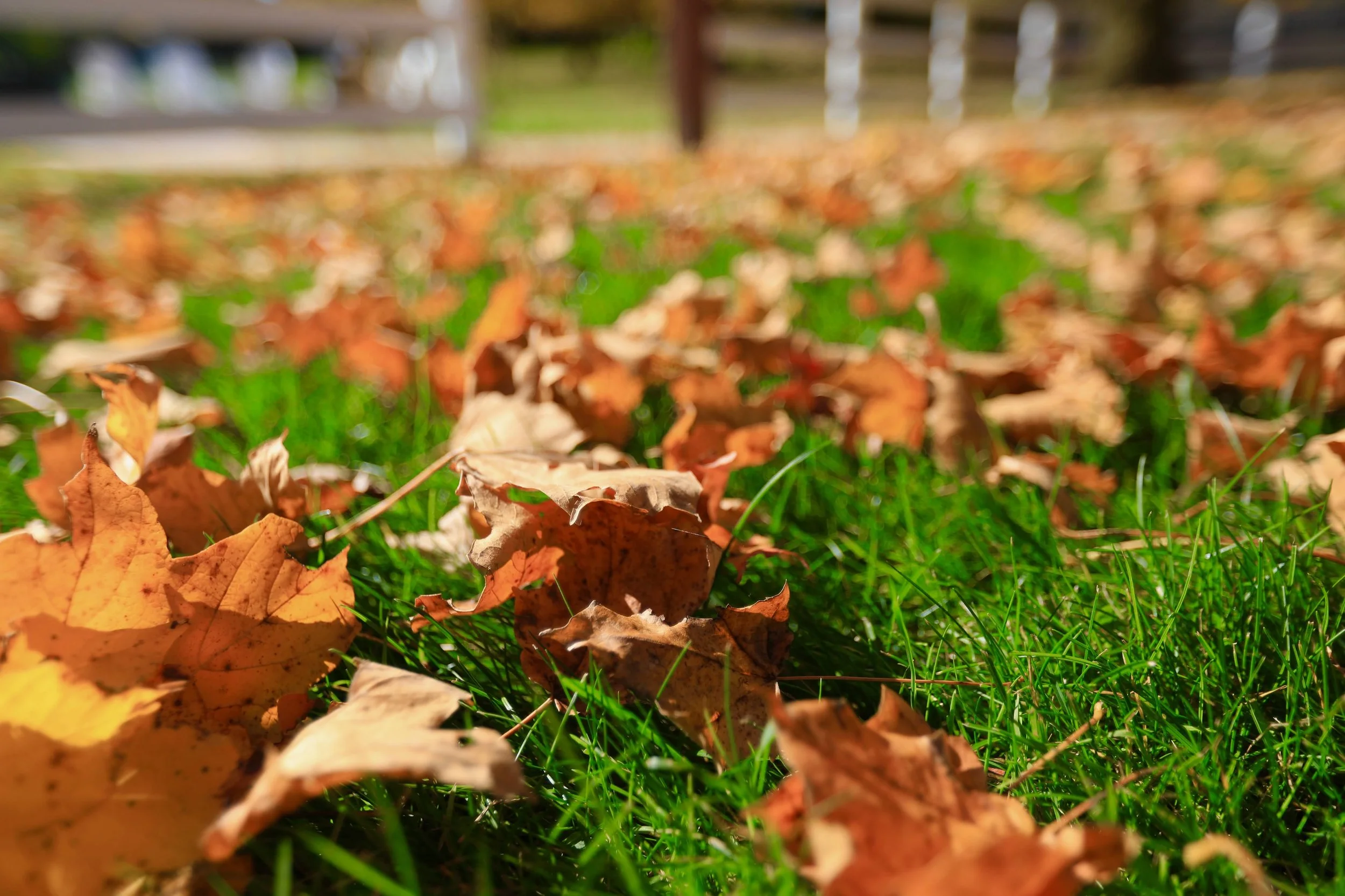 How To Plan An Upstate NY Fall-Themed Wedding