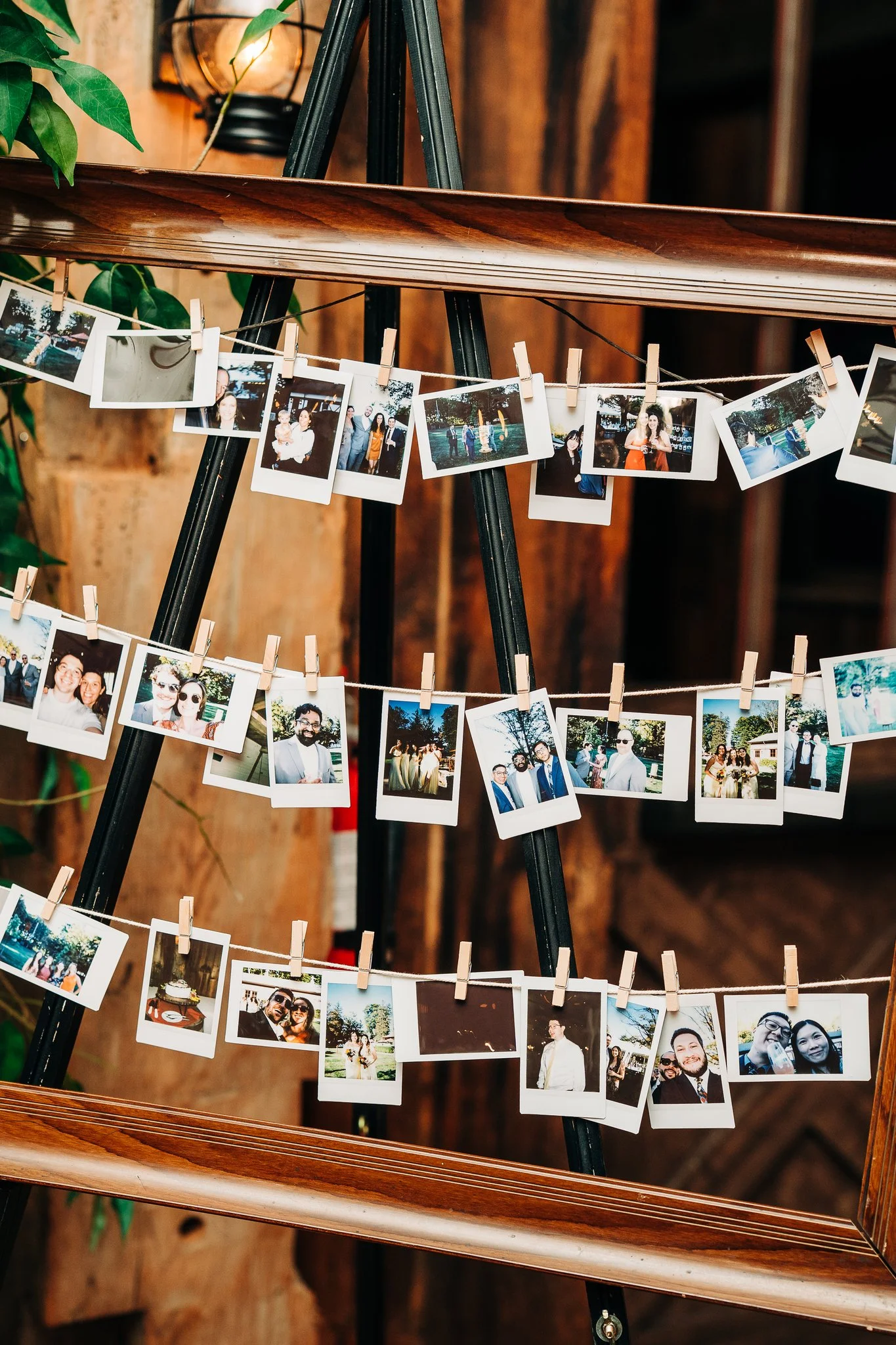 Jaime + Ben 2025 Sweet Alice Photography-1010_(2048).jpg