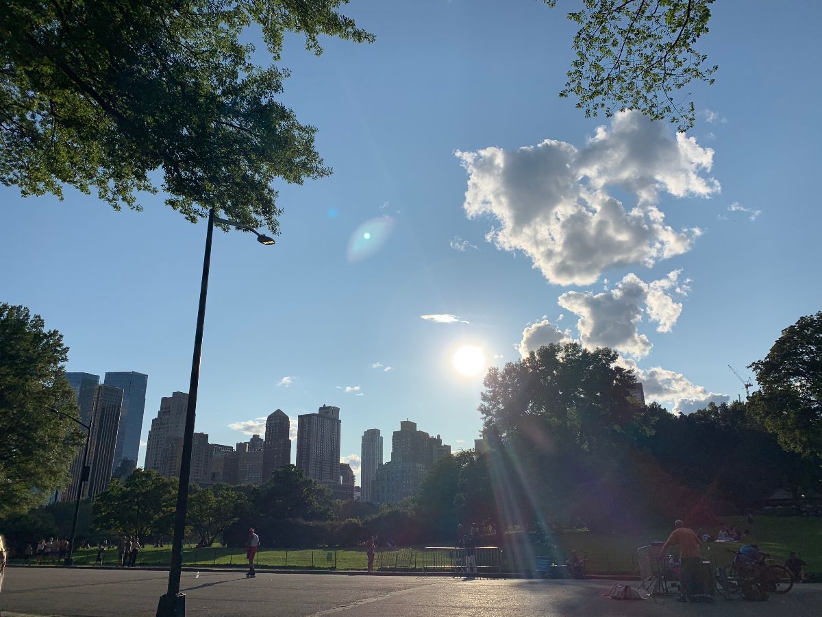 The Shakti Shine - August 12, 2019