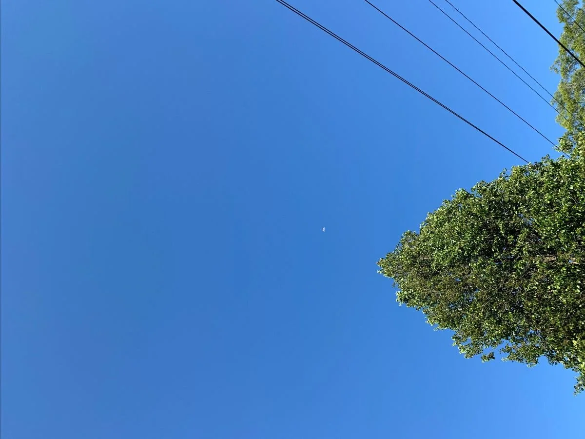 The Shakti Shine - May 4th, 2020